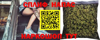 Альфа ПВП Тверь