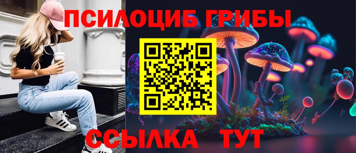 Псилоцибиновые грибы ЛСД Осинники