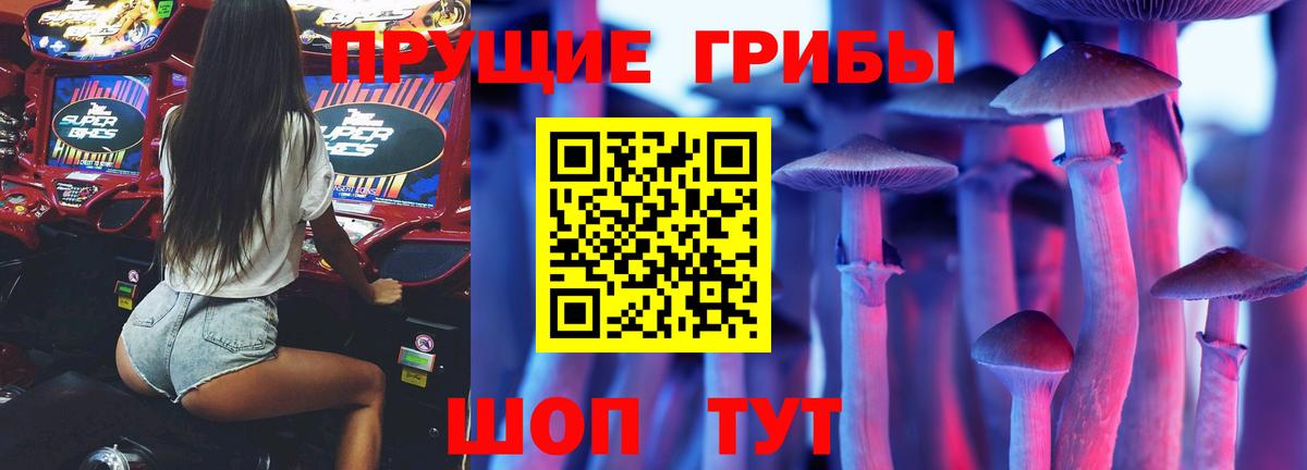 Галлюциногенные грибы мухоморы  Псилоцибиновые грибы Psilocybine cubensis  Вход с VPN  Осинники 